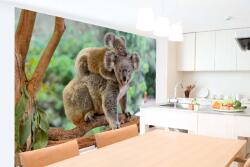 DIMEX ART Самозалепваща се флизелинова фототапета коала с малко 375 x 250 см
