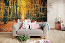 DIMEX ART Самозалепваща се флизелинова фототапета цветен есенен парк 375 x 250 см