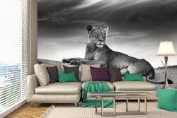 DIMEX ART Самозалепваща се флизелинова фототапета лъвица в пустинята 375 x 250 см