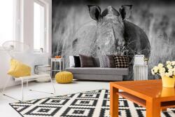 DIMEX ART Самозалепваща се флизелинова фототапета носорог в тревата 375 x 250 см