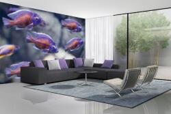 DIMEX ART Самозалепваща се флизелинова фототапета малка рибка 375 x 250 см