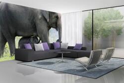 DIMEX ART Самозалепваща се флизелинова фототапета слонове с бебе 375 x 250 см