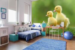 DIMEX ART Самозалепваща се флизелинова фототапета две жълти патета 375 x 250 см