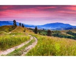 DIMEX ART Самозалепваща се флизелинова фототапета природа с полярно сияние 375 x 250 см
