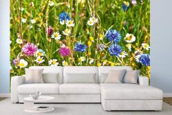 DIMEX ART Самозалепваща се флизелинова фототапета диво поле с цветя 375 x 250 см