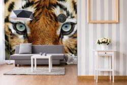 DIMEX ART Самозалепваща се флизелинова фототапета поглед на тигър 375 x 250 см