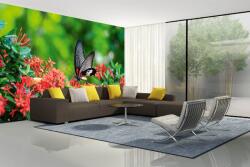 DIMEX ART Самозалепваща се флизелинова фототапета пеперуда върху цвете 375 x 250 см