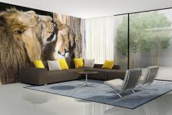 DIMEX ART Самозалепваща се флизелинова фототапета любов на лъв 375 x 250 см