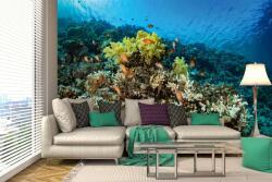 DIMEX ART Самозалепваща се флизелинова фототапета красиви корали 375 x 250 см