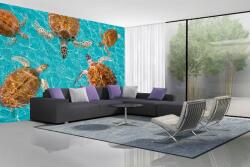DIMEX ART Самозалепваща се флизелинова фототапета група костенурки 375 x 250 см