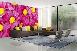 DIMEX ART Самозалепваща се флизелинова фототапета розови далии 375 x 250 см