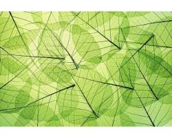 DIMEX ART Самозалепваща се флизелинова фототапета листни жилки 375 x 250 см