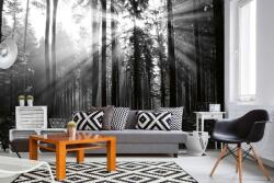 DIMEX ART Самозалепваща се флизелинова фототапета черно-бяла гора 375 x 250 см