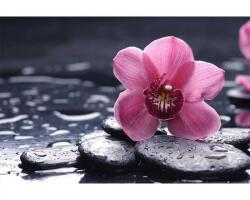 DIMEX ART Флизелинов фототапет орхидея 375 x 250 см