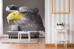 DIMEX ART Самозалепваща се флизелинова фототапета орел 375 x 250 см