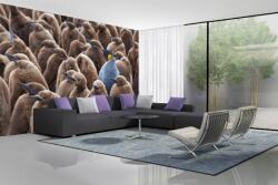 DIMEX ART Самозалепваща се флизелинова фототапета голяма група пингвини 375 x 250 см