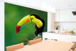 DIMEX ART Самозалепваща се флизелинова фототапета късоклюн тукан 375 x 250 см