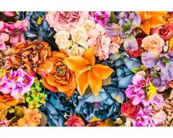 DIMEX ART Самозалепваща се флизелинова фототапета сухи цветя 375 x 250 см