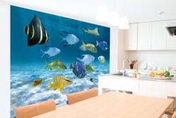 DIMEX ART Самозалепваща се флизелинова фототапета пасаж риби 375 x 250 см
