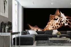 DIMEX ART Самозалепваща се флизелинова фототапета любов към жирафи 375 x 250 см