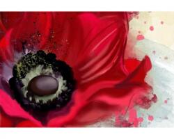 DIMEX ART Флизелинов фототапет мак 375 x 250 см