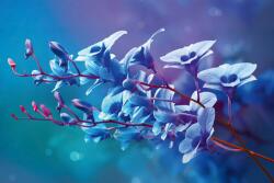 DIMEX ART Флизелинов фототапет сини орхидеи 375 x 250 см