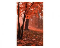 DIMEX ART Флизелинов фототапет гора в мъгла 150 x 250 см