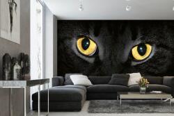 DIMEX ART Самозалепваща се флизелинова фототапета жълти котешки очи 375 x 250 см