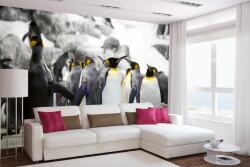 DIMEX ART Самозалепваща се флизелинова фототапета пингвини на скали 375 x 250 см