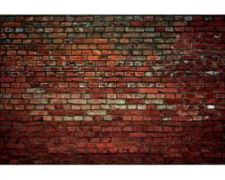 DIMEX ART Самозалепваща се флизелинова фототапета тухлена стена 375 x 250 см