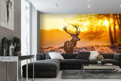 DIMEX ART Самозалепваща се флизелинова фототапета елен при залез слънце 375 x 250 см
