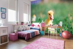 DIMEX ART Самозалепваща се флизелинова фототапета жълто пате 375 x 250 см