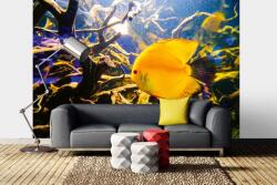 DIMEX ART Самозалепваща се флизелинова фототапета красиво под водата свят 375 x 250 см