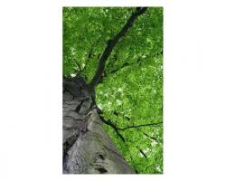 DIMEX ART Флизелинов фототапет корона на дървото 150 x 250 см
