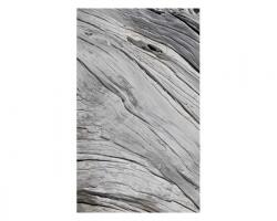 DIMEX ART Флизелинов фототапет структура на дървото 150 x 250 см