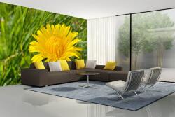 DIMEX ART Самозалепваща се флизелинова фототапета пролетно глухарче 375 x 250 см