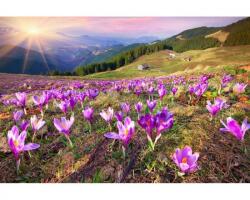 DIMEX ART Самозалепваща се флизелинова фототапета минзухари през пролетта 375 x 250 см