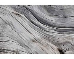 DIMEX ART Самозалепваща се флизелинова фототапета дървесна структура 375 x 250 см