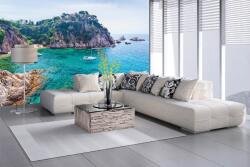 DIMEX ART Самозалепваща се флизелинова фототапета коста брава 375 x 250 см
