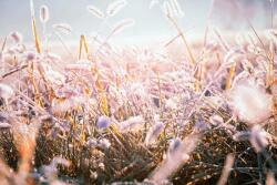 DIMEX ART Флизелинов фототапет сутрешна скреж 375 x 250 см