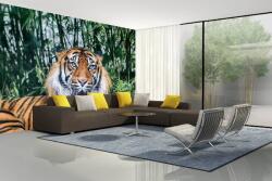 DIMEX ART Самозалепваща се флизелинова фототапета суматрански тигър 375 x 250 см