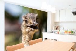 DIMEX ART Самозалепваща се флизелинова фототапета пампас рея 375 x 250 см