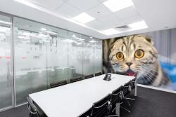 DIMEX ART Самозалепваща се флизелинова фототапета забавна котка 375 x 250 см