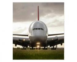 DIMEX ART Флизелинов фототапет еърбъс 225 x 250 см