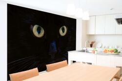 DIMEX ART Самозалепваща се флизелинова фототапета поглед на черна котка 375 x 250 см