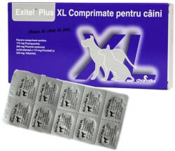 chanelle Exitel Plus XL Caine, 1 tableta (1241-55)