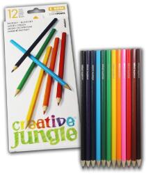 SaKOTA Színes ceruza CREATIVE JUNGLE hatszögletű fehér dobozos 12 darabos (ABA0241) - vectraline