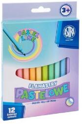 Astra Filctoll ASTRA pasztell 12 darabos (317122001) - vectraline