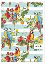 Nebulo Spirálfüzet vonalas NEBULO L-Design A/4 70 lapos (SP-VO-LD-A4) - vectraline