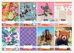 Nebulo Füzet kockás NEBULO A/5 32 lapos 27-32 Cuki II. 16 darabos (NR-2-CM-A5)